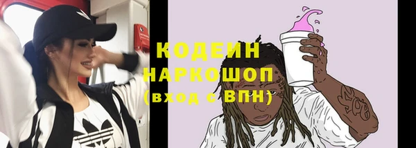 индика Абаза