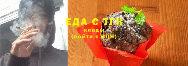 индика Абаза