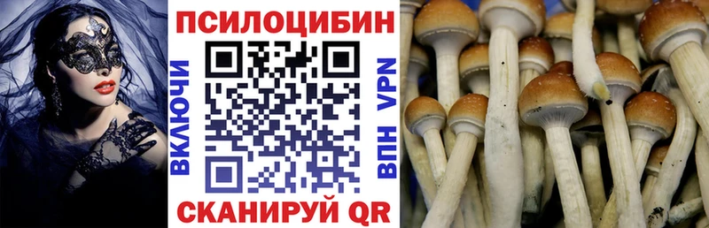Галлюциногенные грибы Psilocybe  Сертолово 