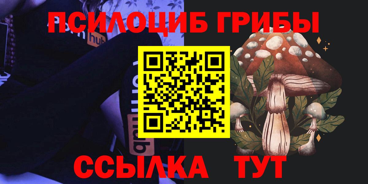 Галлюциногенные грибы Psilocybe Сертолово