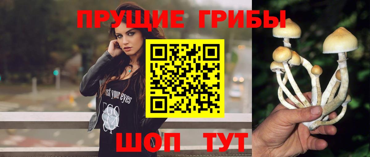Сертолово  Галлюциногенные грибы GOLDEN TEACHER  Вход с VPN 